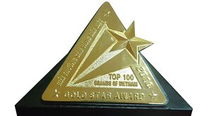 Giải thưởng Sao Vàng Đất Việt 2010